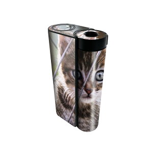 glo hyper x2 p fUCXLV[ S tZbg Jo[ P[X ی O[ OE XebJ[ fR ANZT[ dq΂ 025949 @L@lR@ԗ