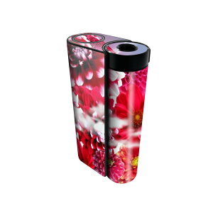 glo hyper x2 p fUCXLV[ S tZbg Jo[ P[X ی O[ OE XebJ[ fR ANZT[ dq΂ 026064 ԁ@_A@A[g