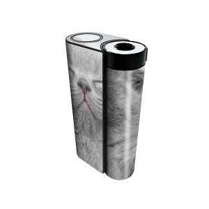 glo hyper x2 p fUCXLV[ S tZbg Jo[ P[X ی O[ OE XebJ[ fR ANZT[ dq΂ 011682 L@@ʐ^