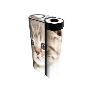 glo hyper x2 p fUCXLV[ S tZbg Jo[ P[X ی O[ OE XebJ[ fR ANZT[ dq΂ 013568 L@ʐ^@qL