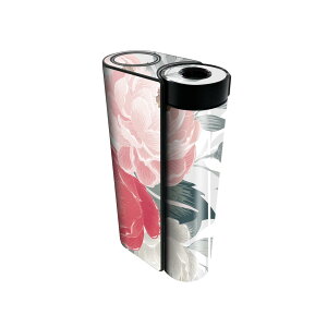 glo hyper x2 ��p �f�U�C���X�L���V�[�� �S�� �t���Z�b�g �J�o�[ �P�[�X �ی� �O���[ �O���E �X�e�b�J�[ �f�R �A�N�Z�T���[ �d�q���΂� 013917 �ԁ@�@�s���N