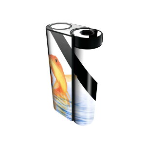 glo hyper x2 p fUCXLV[ S tZbg Jo[ P[X ی O[ OE XebJ[ fR ANZT[ dq΂ 019456 tHg  n At@xbg