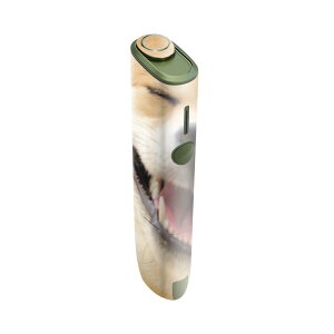 IQOS ILUMA ONE p fUCXLV[ ACRX C}  Ή V[ XLV[ t ANZT یV[ fRV[ 000926 @Č