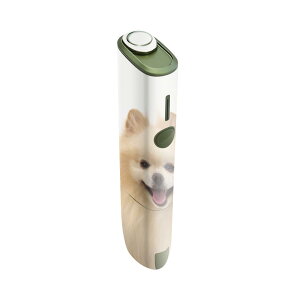IQOS ILUMA ONE p fUCXLV[ ACRX C}  Ή V[ XLV[ t ANZT یV[ fRV[ 002912 @@ʐ^