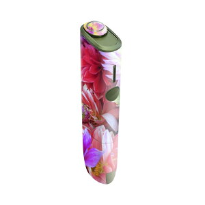 IQOS ILUMA ONE p fUCXLV[ ACRX C}  Ή V[ XLV[ t ANZT یV[ fRV[ 023341 ԁ@t[@ʐ^