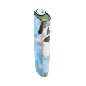 IQOS ILUMA ONE p fUCXLV[ ACRX C}  Ή V[ XLV[ t ANZT یV[ fRV[ 008499 ʐ^@F@@u[@
