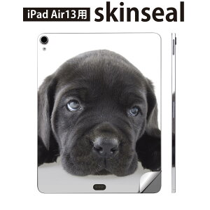 iPad Air13 p XLV[ ACpbh GA 13C` Ή SʃXLV[ t w  یV[ lC   t`uhbN _bNXtg 000127