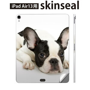 iPad Air13 p XLV[ ACpbh GA 13C` Ή SʃXLV[ t w  یV[ lC  t`uhbN 000889