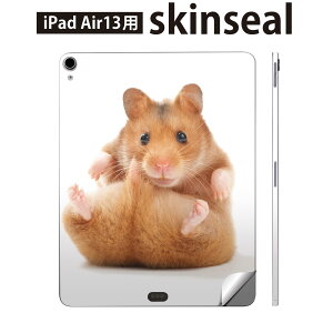 iPad Air13 p XLV[ ACpbh GA 13C` Ή SʃXLV[ t w  یV[ lC nX^[  001075