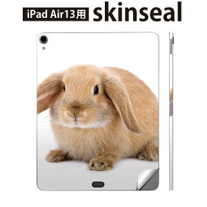 iPad Air13 p XLV[ ACpbh GA 13C` Ή SʃXLV[ t w  یV[ lC   001112