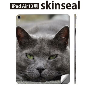 iPad Air13 p XLV[ ACpbh GA 13C` Ή SʃXLV[ t w  یV[ lC L  ʐ^ 002650