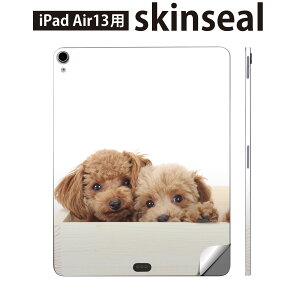iPad Air13 p XLV[ ACpbh GA 13C` Ή SʃXLV[ t w  یV[ lC   ʐ^ 002770
