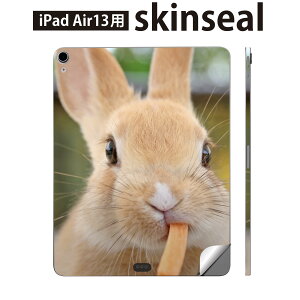 iPad Air13 p XLV[ ACpbh GA 13C` Ή SʃXLV[ t w  یV[ lC   ʐ^ 002807