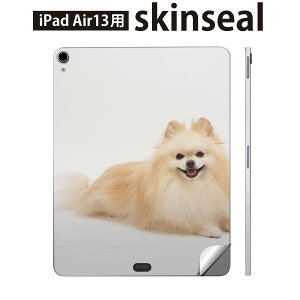 iPad Air13 p XLV[ ACpbh GA 13C` Ή SʃXLV[ t w  یV[ lC   ʐ^ 002911