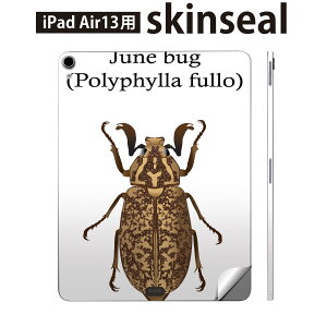 iPad Air13 p XLV[ ACpbh GA 13C` Ή SʃXLV[ t w  یV[ lC  polyphylla fullo qQRKl 020014