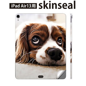 iPad Air13 p XLV[ ACpbh GA 13C` Ή SʃXLV[ t w  یV[ lC  ʐ^ 022868