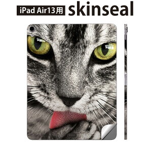 iPad Air13 p XLV[ ACpbh GA 13C` Ή SʃXLV[ t w  یV[ lC L ˂  ʐ^ 023078