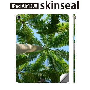 iPad Air13 p XLV[ ACpbh GA 13C` Ή SʃXLV[ t w  یV[ lC R t   025621
