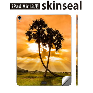 iPad Air13 p XLV[ ACpbh GA 13C` Ή SʃXLV[ t w  یV[ lC V̖ v R iF 025622