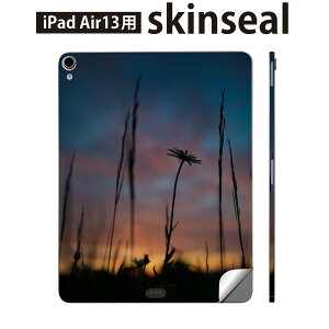 iPad Air13 p XLV[ ACpbh GA 13C` Ή SʃXLV[ t w  یV[ lC i R  025684