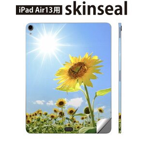 iPad Air13 p XLV[ ACpbh GA 13C` Ή SʃXLV[ t w  یV[ lC Ђ܂ ʐ^ z 005089