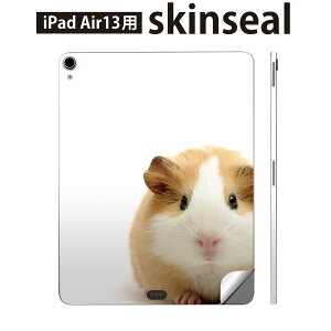 iPad Air13 p XLV[ ACpbh GA 13C` Ή SʃXLV[ t w  یV[ lC ʐ^  nX^[ 006036