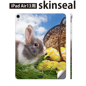 iPad Air13 p XLV[ ACpbh GA 13C` Ή SʃXLV[ t w  یV[ lC ʐ^   006581