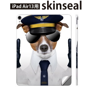 iPad Air13 p XLV[ ACpbh GA 13C` Ή SʃXLV[ t w  یV[ lC ʐ^  TOX 007938
