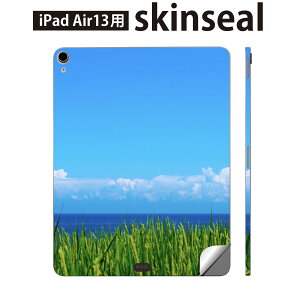 iPad Air13 p XLV[ ACpbh GA 13C` Ή SʃXLV[ t w  یV[ lC i  C ʐ^ 009748