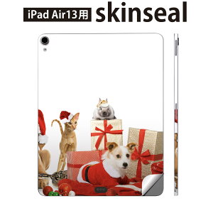 iPad Air13 p XLV[ ACpbh GA 13C` Ή SʃXLV[ t w  یV[ lC NX}X   L 009931