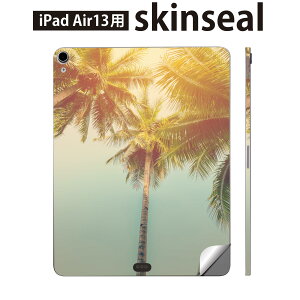 iPad Air13 p XLV[ ACpbh GA 13C` Ή SʃXLV[ t w  یV[ lC V̖ i 010529