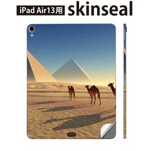iPad Air13 �p �X�L���V�[�� �A�C�p�b�h �G�A 13�C���` �Ή� �S�ʃX�L���V�[�� �t�� �w�� ���� �ی�V�[�� �l�C �炭�� ���� �s���~�b�h 010934