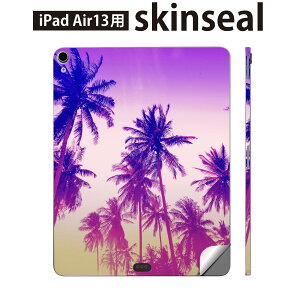 iPad Air13 p XLV[ ACpbh GA 13C` Ή SʃXLV[ t w  یV[ lC  V̖ [ 011305