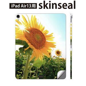 iPad Air13 p XLV[ ACpbh GA 13C` Ή SʃXLV[ t w  یV[ lC  Ђ܂ ʐ^ 011440