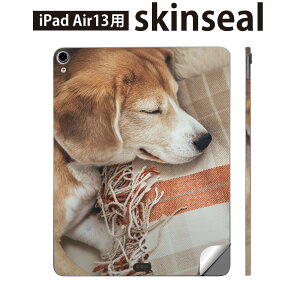 iPad Air13 �p �X�L���V�[�� �A�C�p�b�h �G�A 13�C���` �Ή� �S�ʃX�L���V�[�� �t�� �w�� ���� �ی�V�[�� �l�C �� ���Q 014838