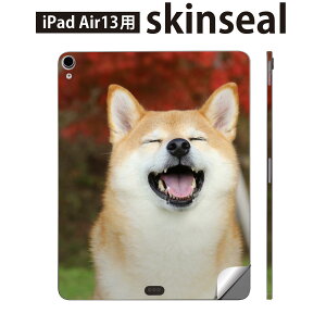 iPad Air13 p XLV[ ACpbh GA 13C` Ή SʃXLV[ t w  یV[ lC  킢 Č 015611