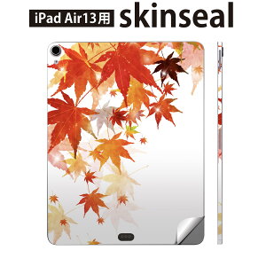 iPad Air13 p XLV[ ACpbh GA 13C` Ή SʃXLV[ t w  یV[ lC a gt a 015654