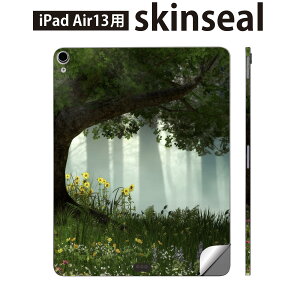 iPad Air13 p XLV[ ACpbh GA 13C` Ή SʃXLV[ t w  یV[ lC   016172