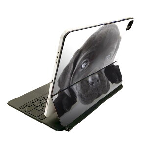 Magic Keyboard p XLV[ 11C` iPad Prop 1-4 iPad Air 4-5 Ή SʃXLV[ t O w یV[ lC 000127   t`uhbN _bNXtg