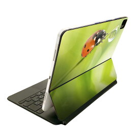 Magic Keyboard 12.9インチ iPad Pro（第4世代、第5世代、第6世代）対応 apple アップル アイパッド　全面スキンシール フル 前面　背面 保護シール 人気 000820 てんとう虫　草