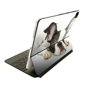 Magic Keyboard p XLV[ 11C` iPad Prop 1-4 iPad Air 4-5 Ή SʃXLV[ t O w یV[ lC 000889 @t`uhbN