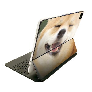 Magic Keyboard 12.9C` iPad Proi4A5A6jΉ apple Abv ACpbh SʃXLV[ t O w یV[ lC @Č 000926