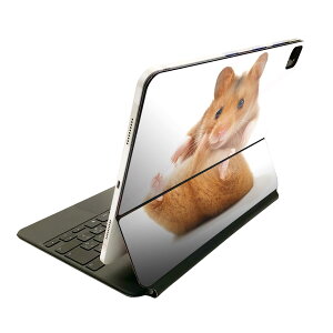 Magic Keyboard 12.9C` iPad Proi4A5A6jΉ apple Abv ACpbh SʃXLV[ t O w یV[ lC nX^[@ 001075