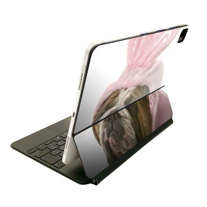 Magic Keyboard p XLV[ 11C` iPad Prop 1-4 iPad Air 4-5 Ή SʃXLV[ t O w یV[ lC 001083 @