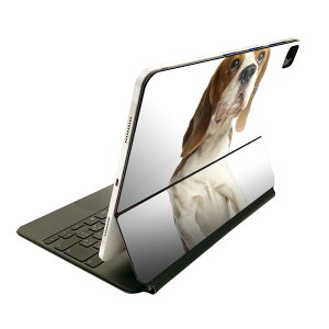 Magic Keyboard �p �X�L���V�[�� 11�C���` iPad Pro�p ��1-4���� iPad Air ��4-5���� �Ή� �S�ʃX�L���V�[�� �t�� �O�� �w�� �ی�V�[�� �l�C 001147 ���@�r�[�O��