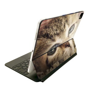 Magic Keyboard p XLV[ 11C` iPad Prop 1-4 iPad Air 4-5 Ή SʃXLV[ t O w یV[ lC 001172 lR@