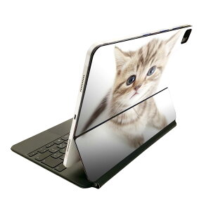 Magic Keyboard 12.9C` iPad Proi4A5A6jΉ apple Abv ACpbh SʃXLV[ t O w یV[ lC lR@ 001194