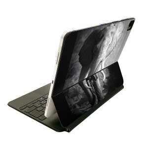 Magic Keyboard p XLV[ 11C` iPad Prop 1-4 iPad Air 4-5 Ή SʃXLV[ t O w یV[ lC 001211 ]E@@mN