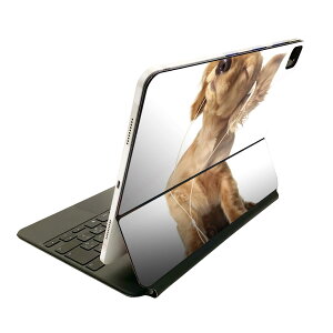 Magic Keyboard 12.9C` iPad Proi4A5A6jΉ apple Abv ACpbh SʃXLV[ t O w یV[ lC @_bNXtg@ 001245