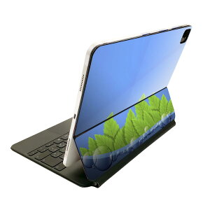 Magic Keyboard p XLV[ 11C` iPad Prop 1-4 iPad Air 4-5 Ή SʃXLV[ t O w یV[ lC 001387 @